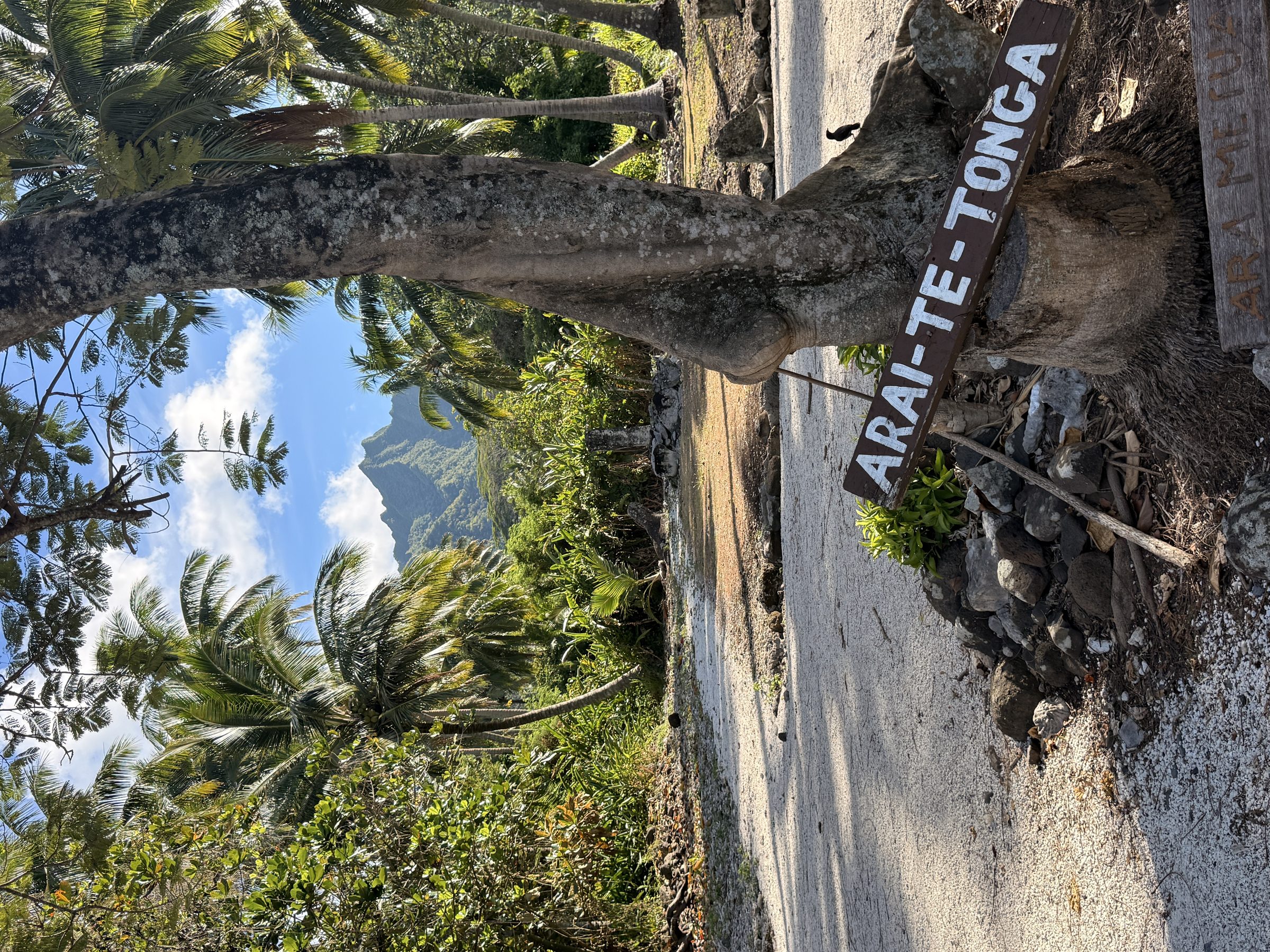 Arai te Tonga, Rarotonga
